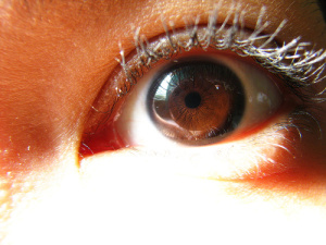 Watching brown eye