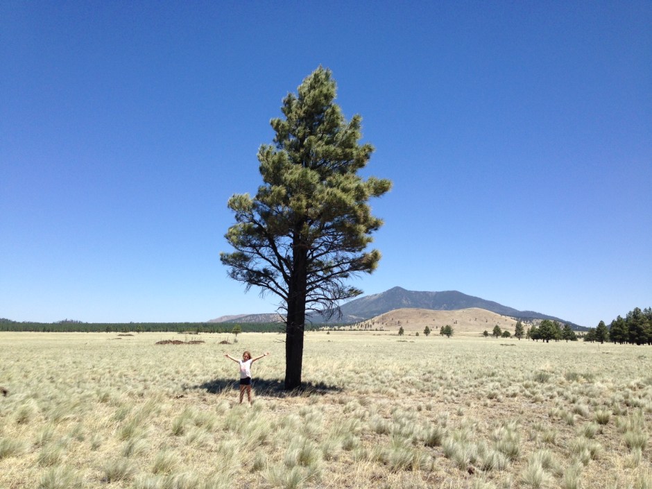 Secondo basks in a mountain valley